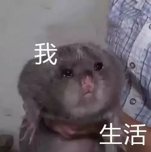 表情包战争图鉴表情