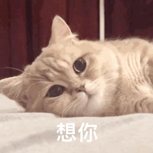  动图表情包弟弟,你真搞笑