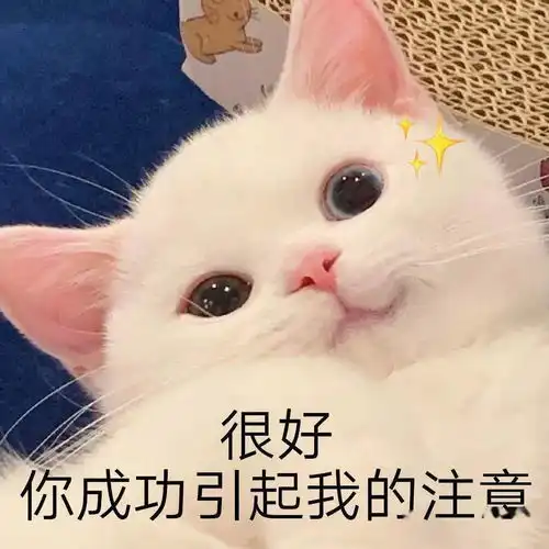  网红猫咪小奶猫蛋崽表情包二
