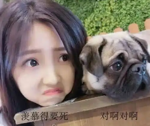 开心一刻笑话七夕节到了,心情特别压抑,一个人去公园散心 开心一刻笑话七夕节到了,心情特别压抑,一个人去公园散心