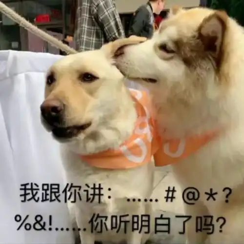  今日份表情包你像是siri有问必答但从不主动发起谈话