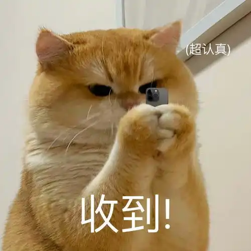  可爱猫咪表情包