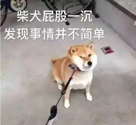 和神秘女共度一晚是为庆祝装修绯闻缠身