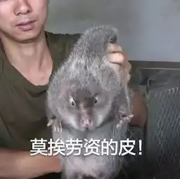  假如我是都庆硕,一定不会喜欢姜美来