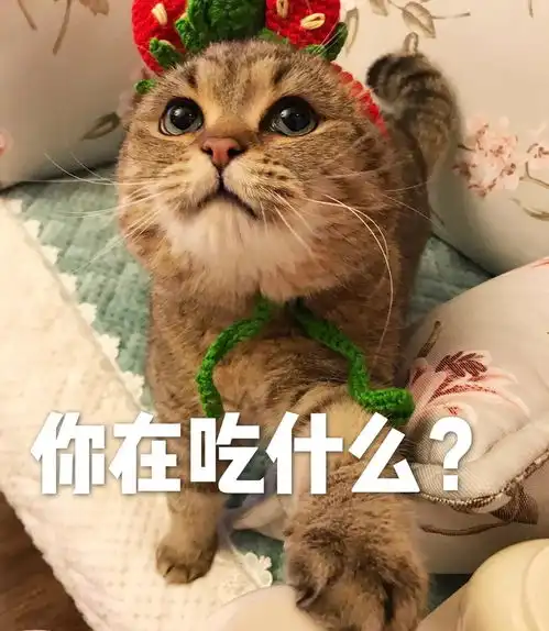  有哪些可爱的表情包