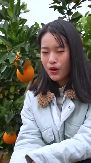  不知道以我们智商,种果树会不会种丢了