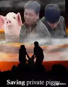  那只从台风中救出来的猪,被恶搞成表情包了,哈哈哈哈哈哈哈哈哈哈哈..