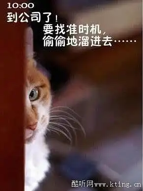  苦逼中的小情调