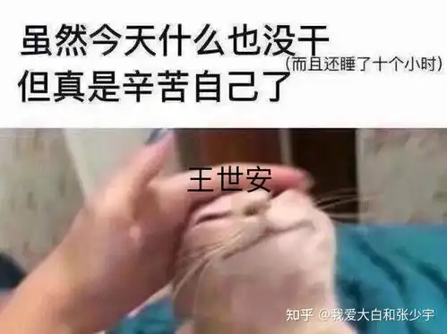  电视剧叛逆者有哪些有趣的梗,或者有趣的表情包
