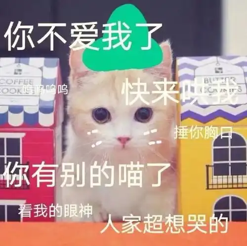  斗图小表情12.27