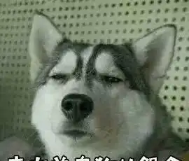  二哈搞笑表情大集合,确认过表情,血统都很纯正