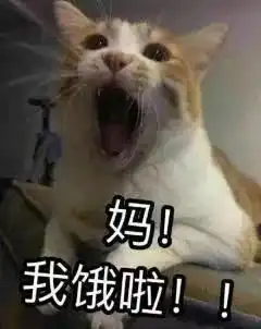  本月起,有些外卖你就点不到了