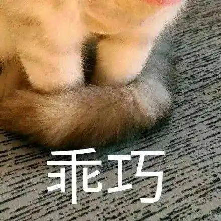 进城了表情包乖巧