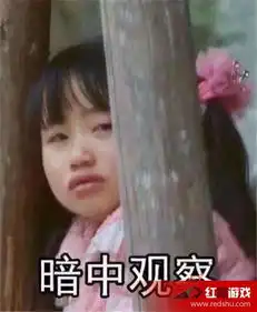 edg是什么意思表情包姐