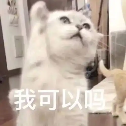  表情包这就是爱吗