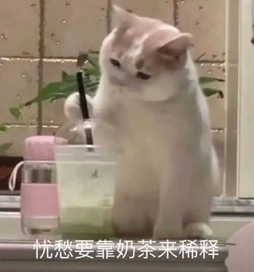  你用过哪些万能又沙雕的奶茶表情包