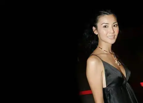  美女明星蒙嘉慧的图集