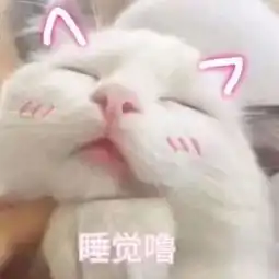  跟对象撒娇,这100张表情最好用