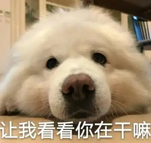  不止塞尔达switch平台5月新游推荐