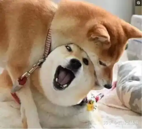  十款常见护眼台灯测评网易小米不负众望,艾目入眼亮度超标25倍多