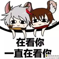  王者荣耀最远距离射程还有谁