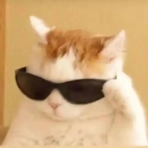 在嘴里养孩子的敬业鱼爸爸,却不小心养了别人的孩子 在嘴里养孩子的敬业鱼爸爸,却不小心养了别人的孩子