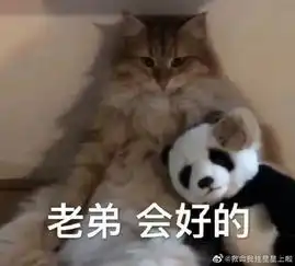  情侣做过哪些沙雕迷惑行为哈哈哈哈哈真实...