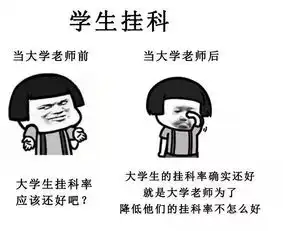  西席当大学老师前vs当大学老师后,一不小心真相了