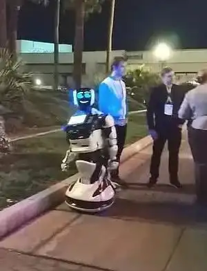 智能机器人在街头被特斯拉撞翻,爬起来盯着汽车看一脸无辜表情 智能机器人在街头被特斯拉撞翻,爬起来盯着汽车看一脸无辜表情