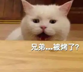 求小饼干表情包大全猫饼