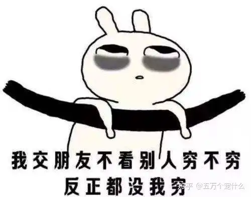  进口猫粮全无货五万哥推荐你一款高品质进口猫粮