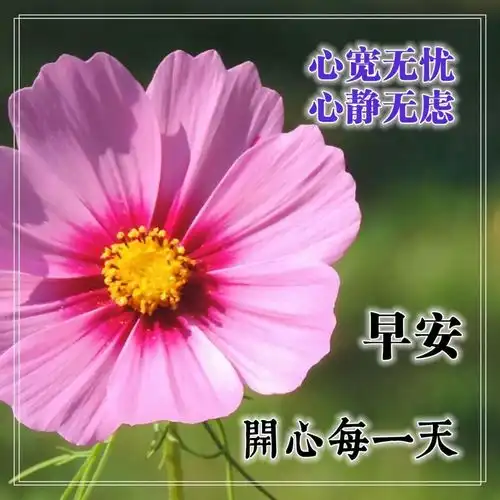  早上好问候语带图片,早安祝福语阳光表情图片