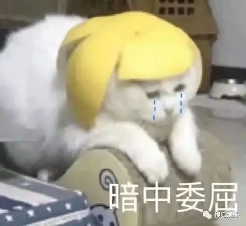 徐峥表情包周冬雨