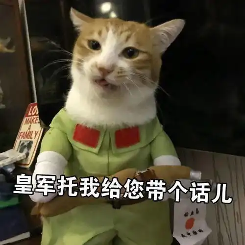  怎么还不放假啊啊啊啊丨第208期猫咪表情包