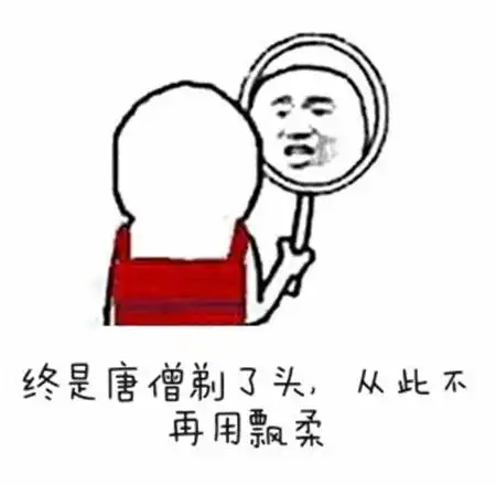  表情包上剑中剑都你都学完了接下来就去人间学下剑吧