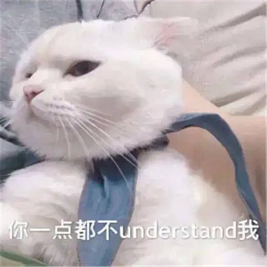 猫咪冲刺表情包表情