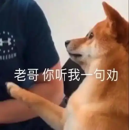 发工资表情包沙雕放假了