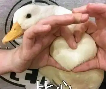  哥们,您这分明是在摆谱啊