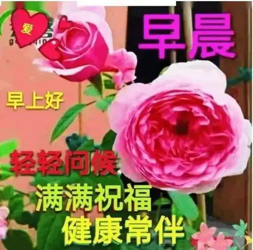  5张清晨早安祝福图片大全精选5月最新早上好祝福语简短