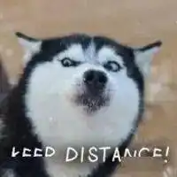  沙雕表情包i有种你来咬我呀