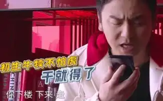 极限挑战岳云鹏和雷佳音这对二锅头组合太好笑了,最后都无奈了 极限挑战岳云鹏和雷佳音这对二锅头组合太好笑了,最后都无奈了