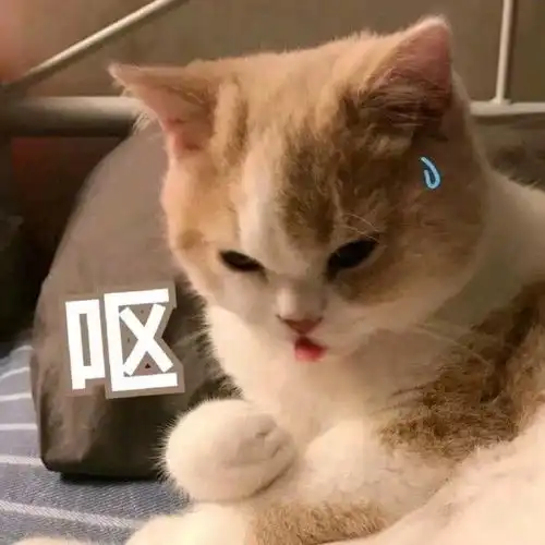  幽默笑话这大晚上的我去哪找你前男友