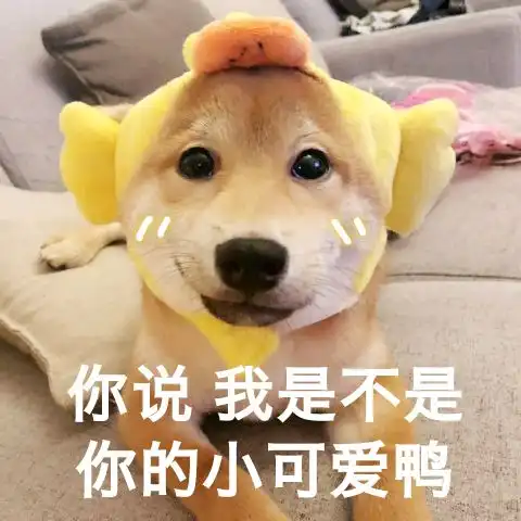  天气海南小伙伴准备好短袖没有琼岛本周最高气温可达到31