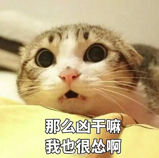  奥利给的相册猫猫表情包