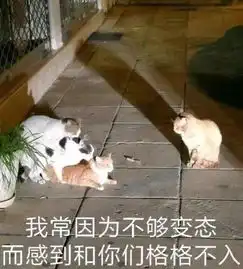  两只猫居然在铲屎官身上做出这种事,太变态了