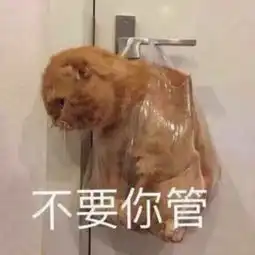 认怂表情包撒娇