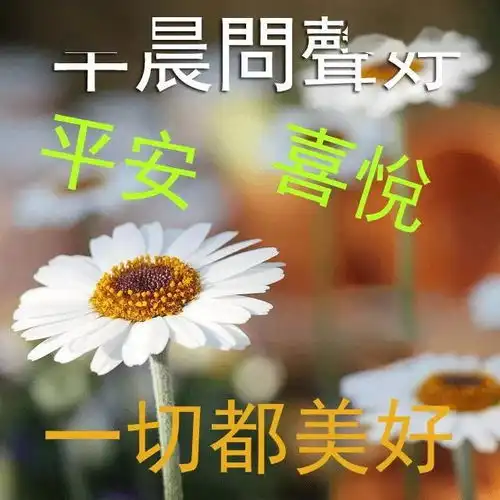  大家早上好问候语图片大,全新的6月早晨祝福语表情,早安