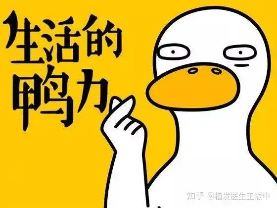  多补充维生素就能预防脱发吗