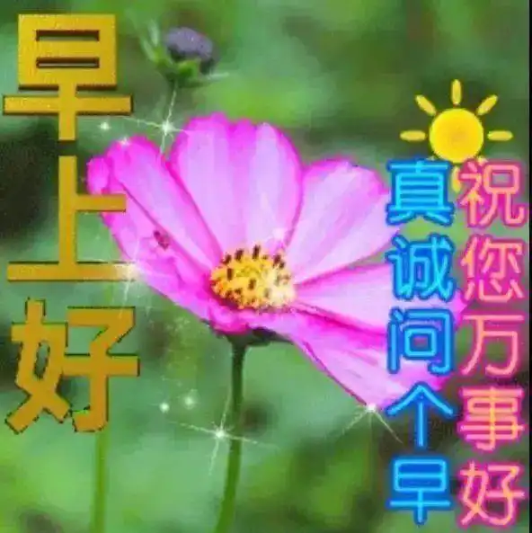 最新版非常漂亮的早上好表情图片温馨早安心语语录 最新版非常漂亮的早上好表情图片温馨早安心语语录