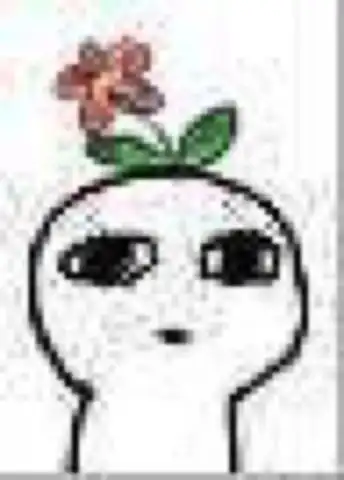 正当春花烂漫时,这里有金华最美花海 正当春花烂漫时,这里有金华最美花海